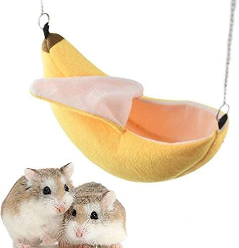 10 Best Hamster Hammocks (And Why You Should Be Getting One!)