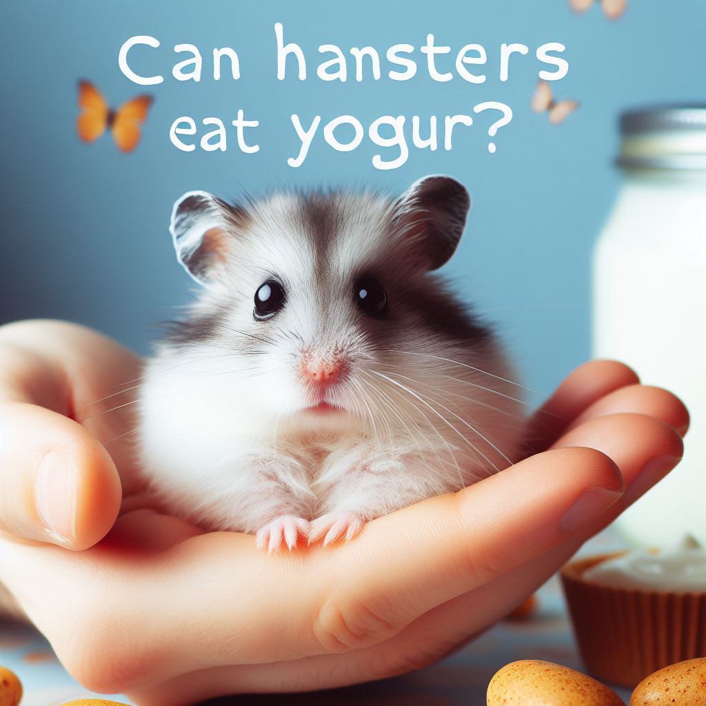 Risk of feeding Yogurt to hamster